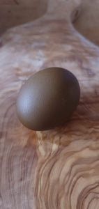 Dark olive egg