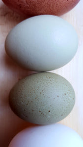 2020 eggs